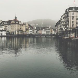 Meet your Posher, Scarlett